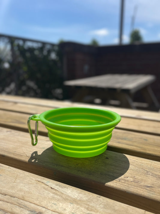 Virtuous Green Collapsible Water Bowl For Dogs