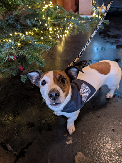 Kirkstall Reversible Dog Bandana